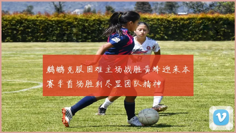 鹈鹕克服困难主场战胜黄蜂迎来本赛季首场胜利尽显团队精神